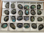 Polished Labradorite Palm Stones x 24 From Madagascar - Toprock Gemstones and Minerals 
