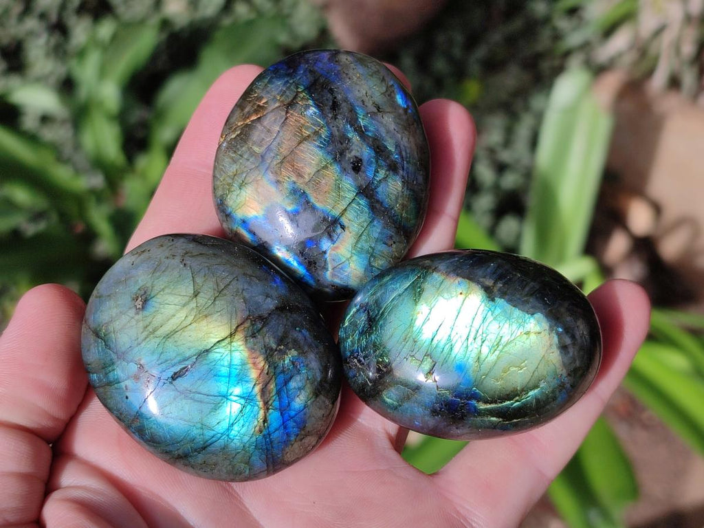 Polished Labradorite Palm Stones x 24 From Madagascar - Toprock Gemstones and Minerals 