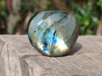 Polished Labradorite Palm Stones x 24 From Madagascar - Toprock Gemstones and Minerals 