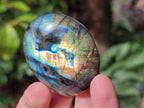Polished Labradorite Palm Stones x 24 From Madagascar - Toprock Gemstones and Minerals 