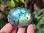 Polished Labradorite Palm Stones x 24 From Madagascar - Toprock Gemstones and Minerals 