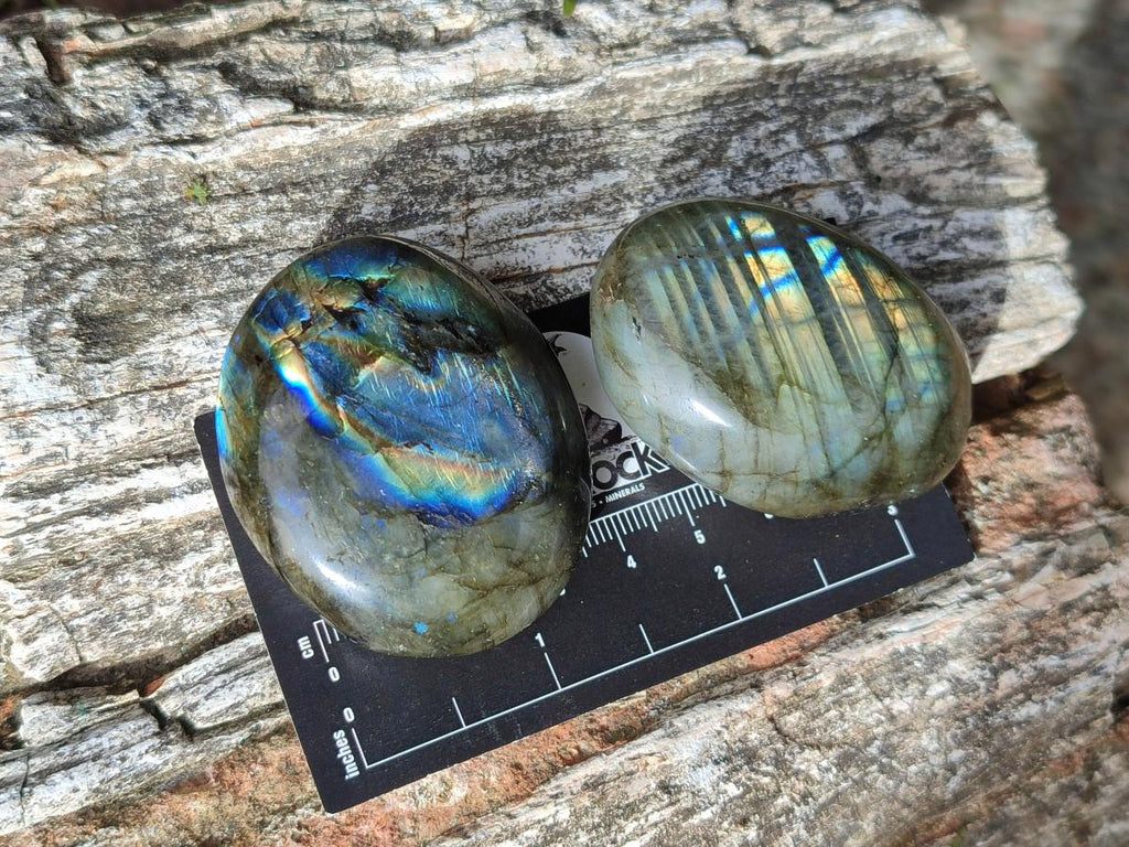 Polished Labradorite Palm Stones x 24 From Madagascar - Toprock Gemstones and Minerals 
