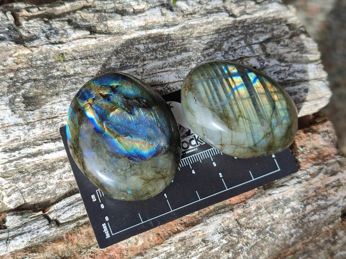 Polished Labradorite Palm Stones x 24 From Madagascar - Toprock Gemstones and Minerals 