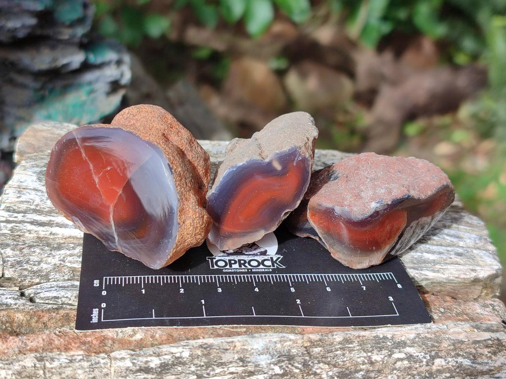 Polished One Side Red Shashe River Agate Nodules x 35 From Shashe River, Zimbabwe - Toprock Gemstones and Minerals 