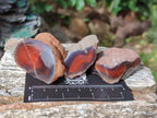 Polished One Side Red Shashe River Agate Nodules x 35 From Shashe River, Zimbabwe - Toprock Gemstones and Minerals 