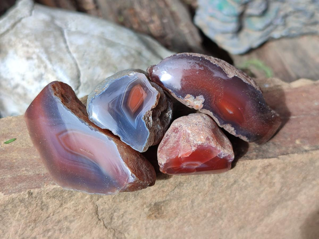Polished One Side Red Shashe River Agate Nodules x 35 From Shashe River, Zimbabwe - Toprock Gemstones and Minerals 