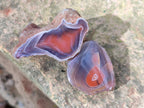 Polished One Side Red Shashe River Agate Nodules x 35 From Shashe River, Zimbabwe - Toprock Gemstones and Minerals 