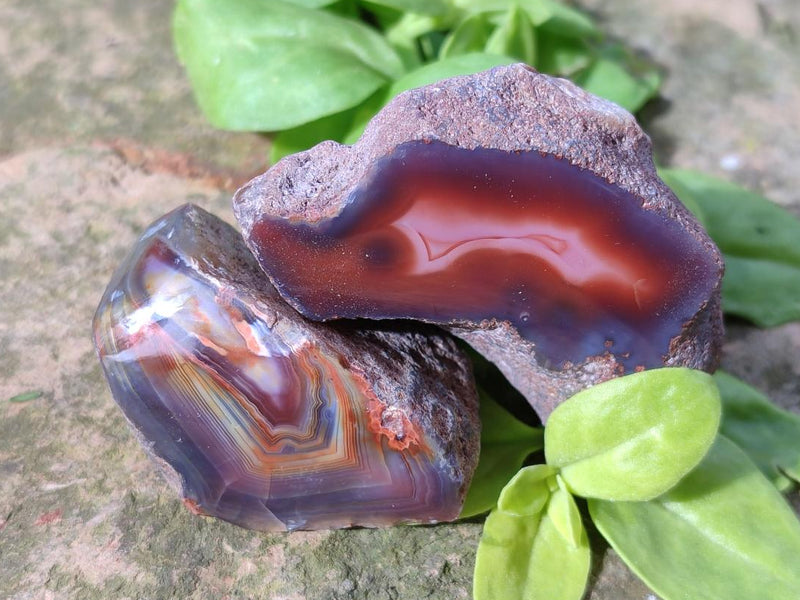 Polished One Side Red Shashe River Agate Nodules x 35 From Shashe River, Zimbabwe - Toprock Gemstones and Minerals 