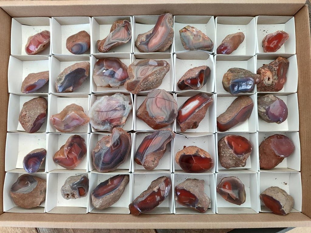 Polished One Side Red Shashe River Agate Nodules x 35 From Shashe River, Zimbabwe - Toprock Gemstones and Minerals 