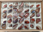 Polished One Side Red Shashe River Agate Nodules x 35 From Shashe River, Zimbabwe - Toprock Gemstones and Minerals 