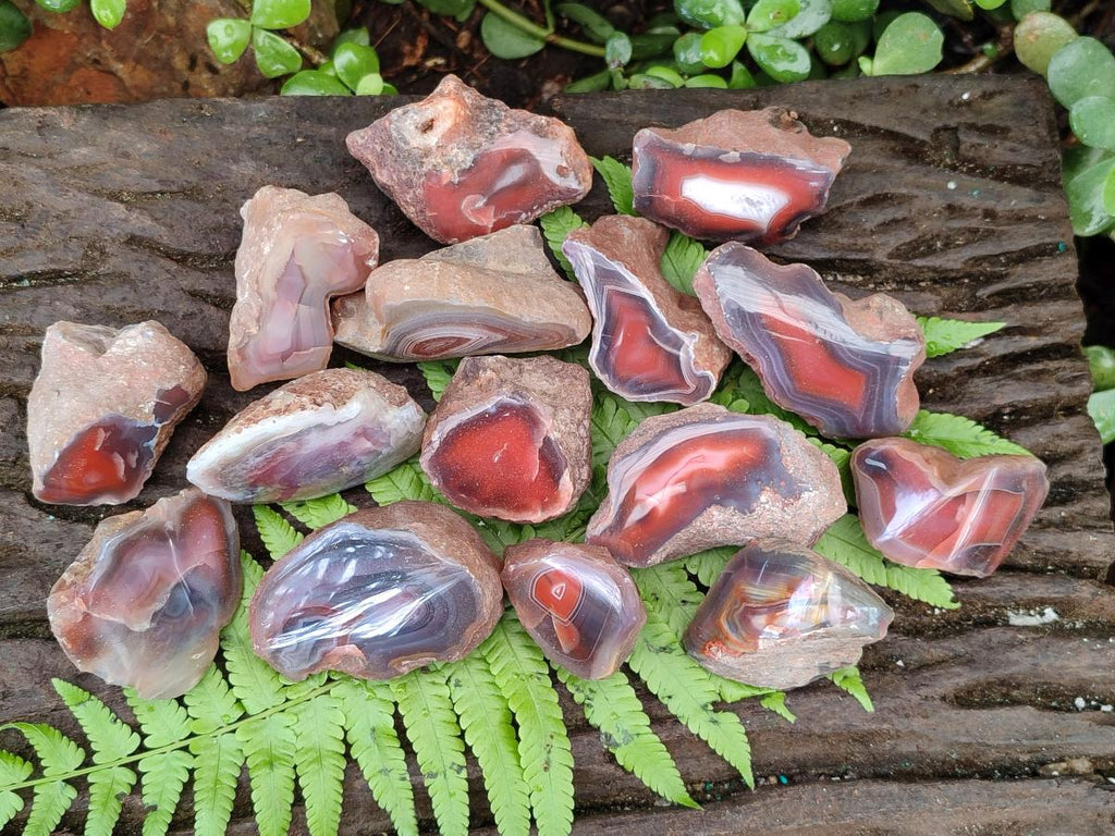 Polished One Side Red Shashe River Agate Nodules x 35 From Shashe River, Zimbabwe - Toprock Gemstones and Minerals 