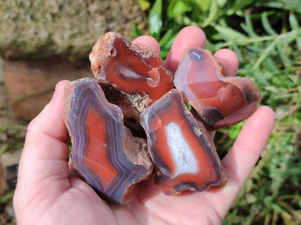 Polished One Side Red Shashe River Agate Nodules x 35 From Shashe River, Zimbabwe - Toprock Gemstones and Minerals 