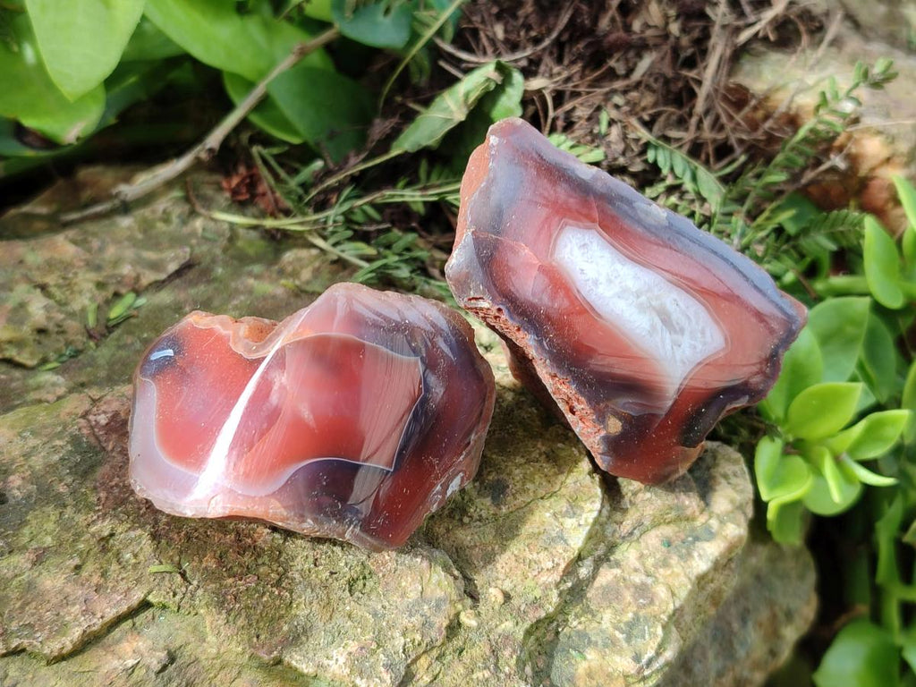 Polished One Side Red Shashe River Agate Nodules x 35 From Shashe River, Zimbabwe - Toprock Gemstones and Minerals 