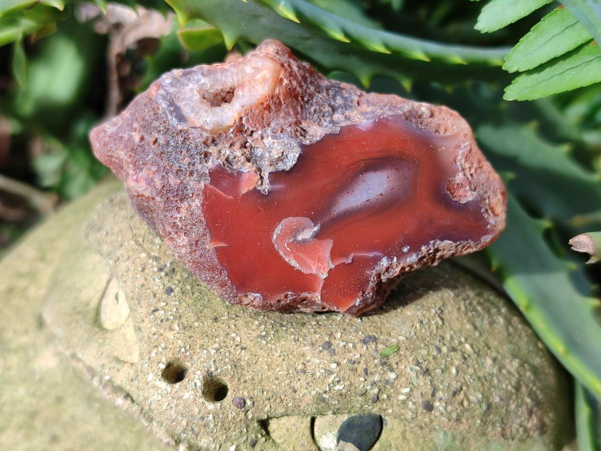 Polished One Side Red Shashe River Agate Nodules x 35 From Shashe River, Zimbabwe - Toprock Gemstones and Minerals 