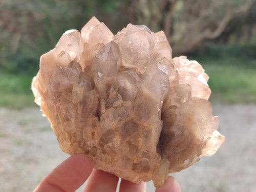 Natural Cascading White Phantom Smokey Luena Quartz Clusters x 4 From Luena, Congo - Toprock Gemstones and Minerals 