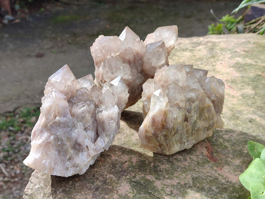 Natural Cascading White Phantom Smokey Luena Quartz Clusters x 4 From Luena, Congo - Toprock Gemstones and Minerals 