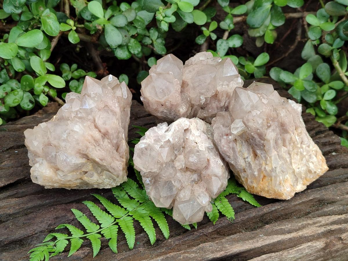 Natural Cascading White Phantom Smokey Luena Quartz Clusters x 4 From Luena, Congo - Toprock Gemstones and Minerals 