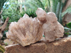 Natural Cascading White Phantom Smokey Luena Quartz Clusters x 4 From Luena, Congo - Toprock Gemstones and Minerals 