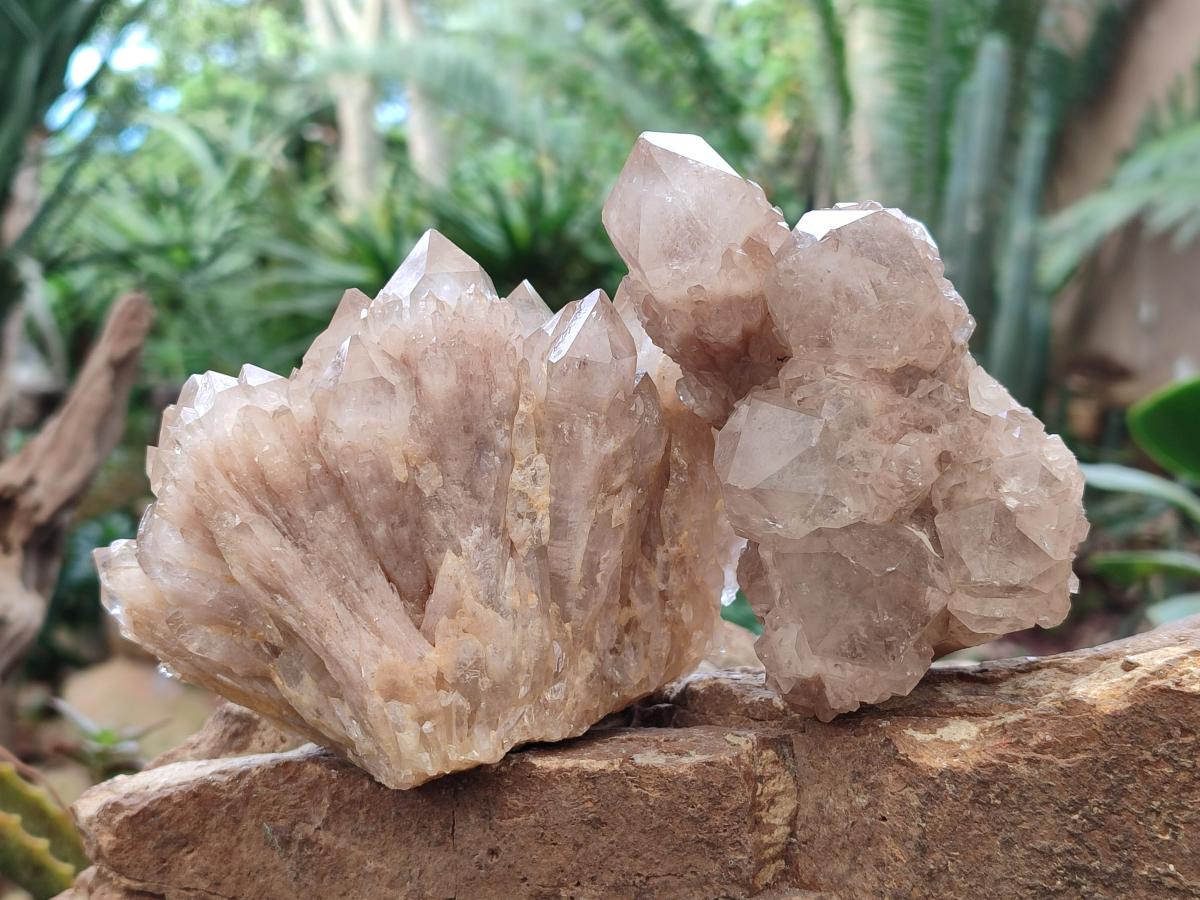 Natural Cascading White Phantom Smokey Luena Quartz Clusters x 4 From Luena, Congo - Toprock Gemstones and Minerals 