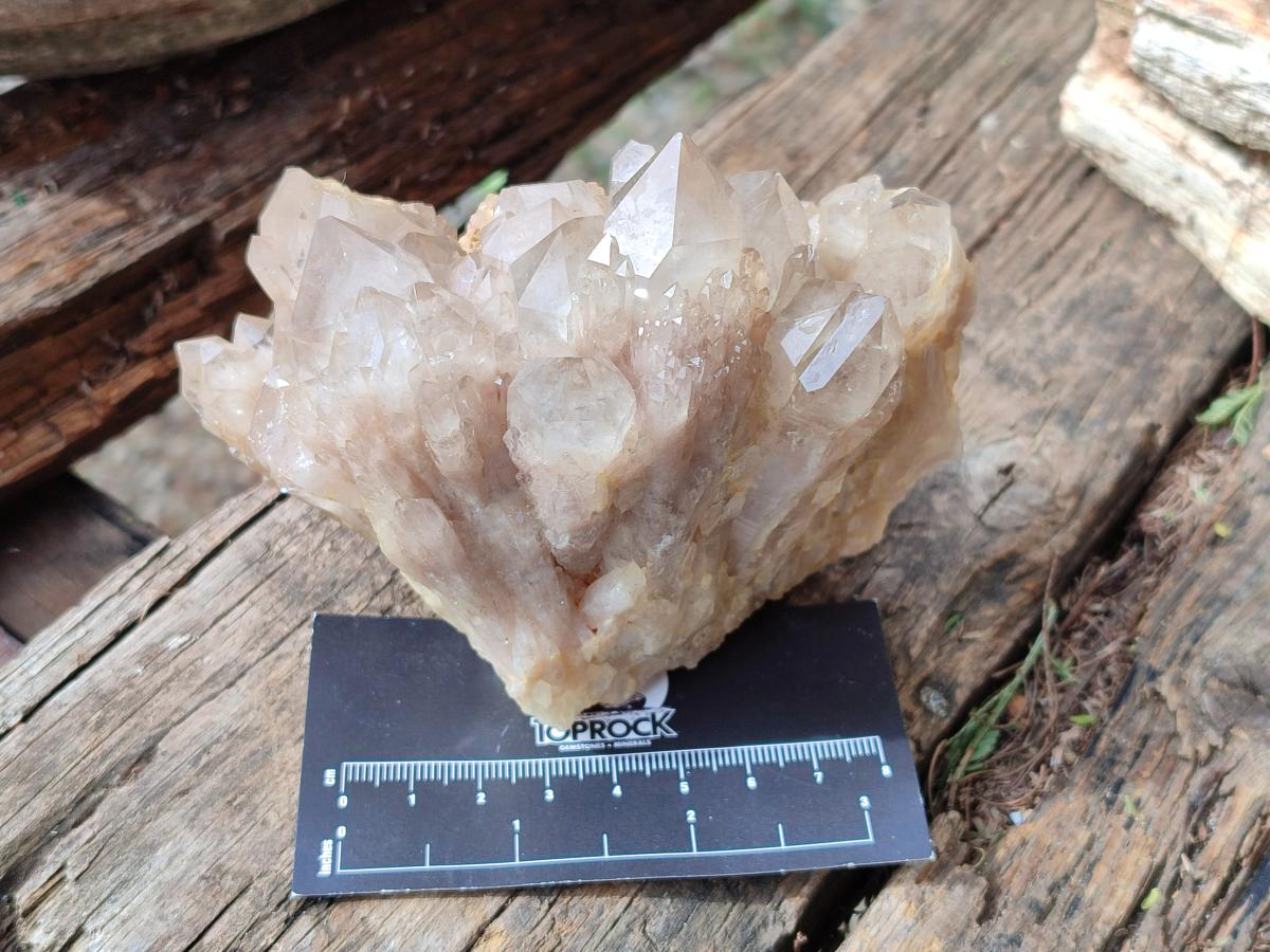 Natural Cascading White Phantom Smokey Luena Quartz Clusters x 4 From Luena, Congo - Toprock Gemstones and Minerals 