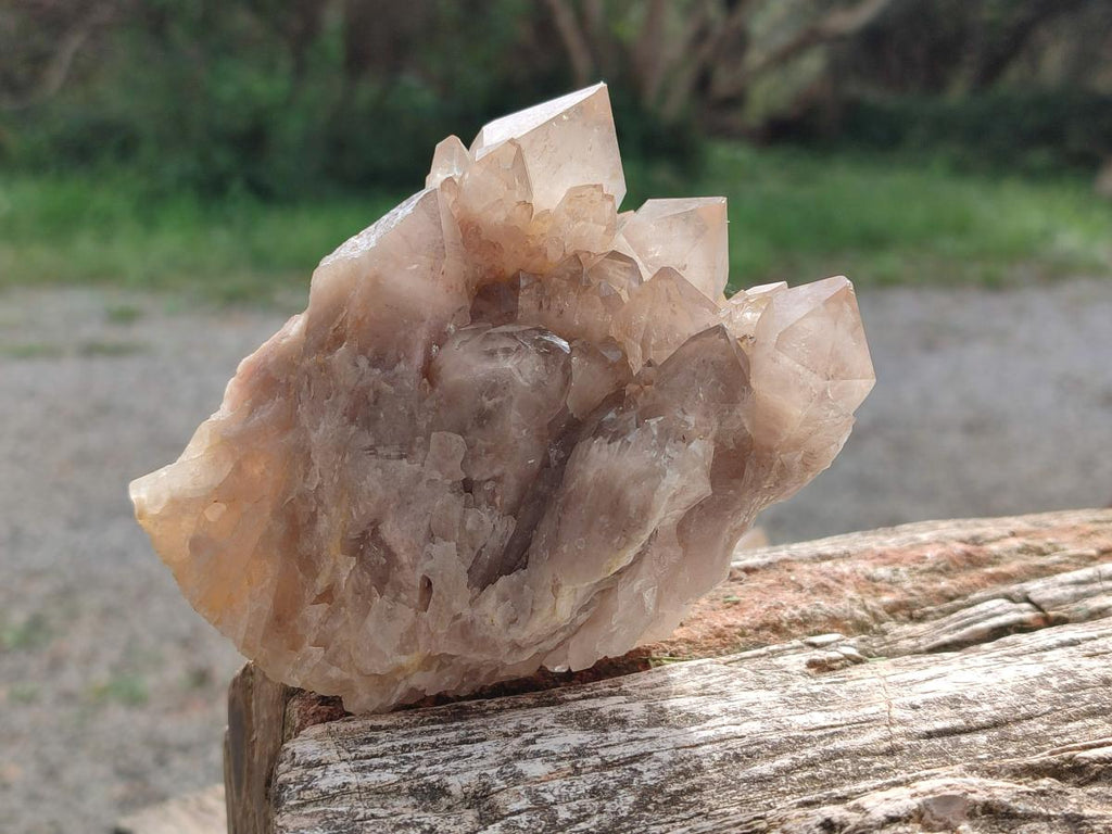 Natural Cascading White Phantom Smokey Luena Quartz Clusters x 4 From Luena, Congo - Toprock Gemstones and Minerals 