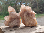 Natural Cascading White Phantom Smokey Luena Quartz Clusters x 4 From Luena, Congo - Toprock Gemstones and Minerals 