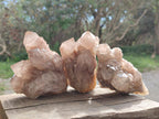 Natural Cascading White Phantom Smokey Luena Quartz Clusters x 4 From Luena, Congo - Toprock Gemstones and Minerals 