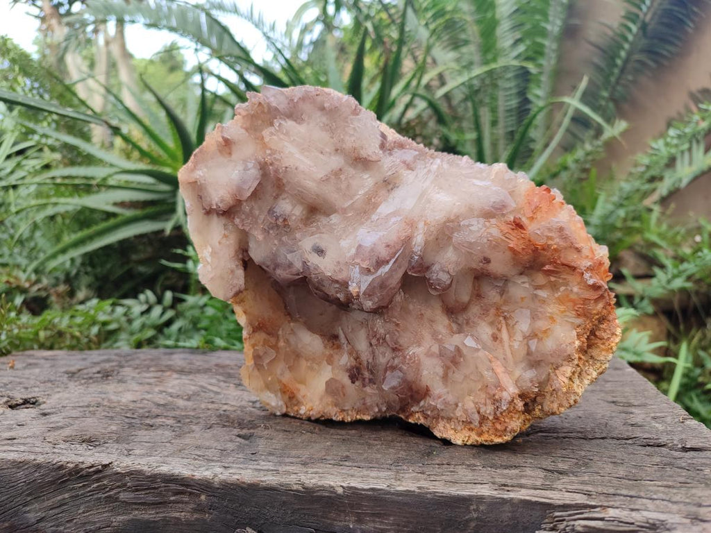 Natural Large Red Hematoid Quartz Cluster x 1 From Karoi, Zimbabwe - Toprock Gemstones and Minerals 