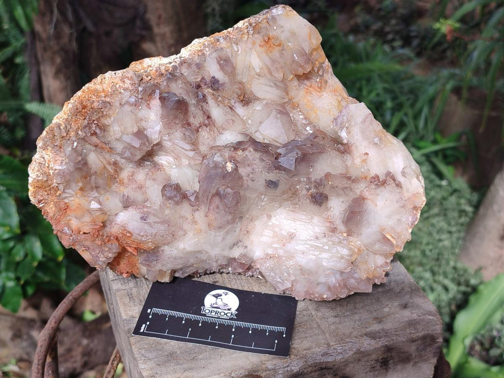Natural Large Red Hematoid Quartz Cluster x 1 From Karoi, Zimbabwe - Toprock Gemstones and Minerals 