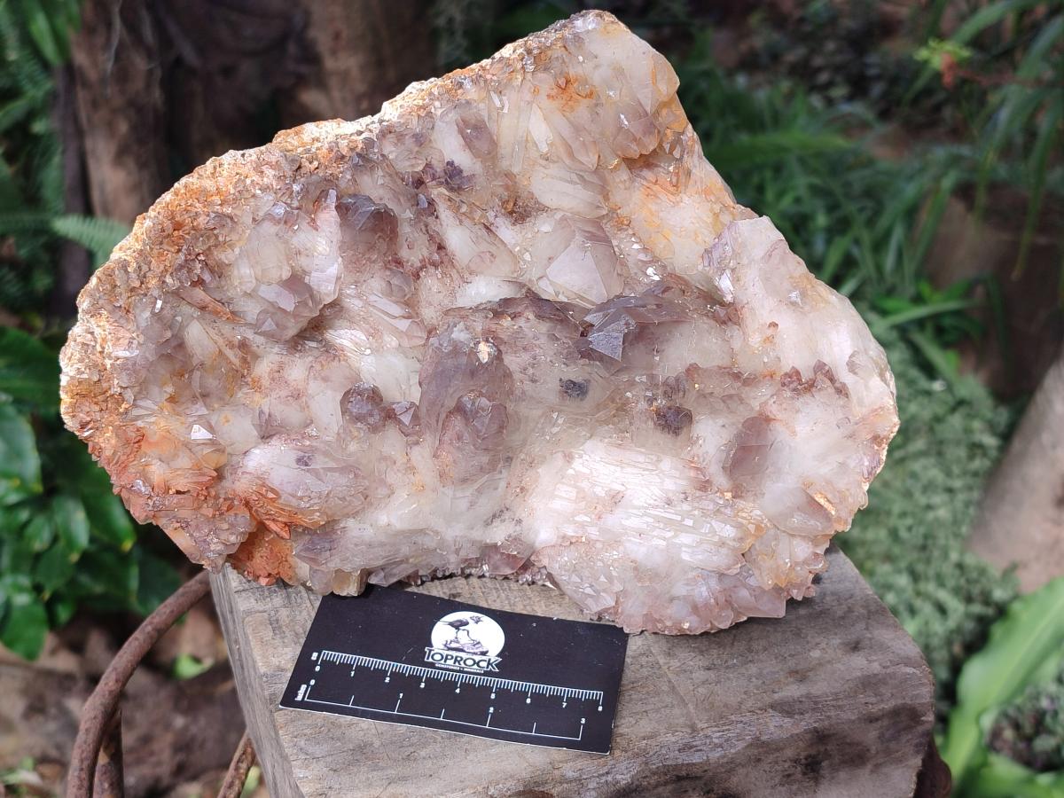 Natural Large Red Hematoid Quartz Cluster x 1 From Karoi, Zimbabwe - Toprock Gemstones and Minerals 