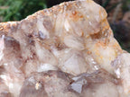 Natural Large Red Hematoid Quartz Cluster x 1 From Karoi, Zimbabwe - Toprock Gemstones and Minerals 