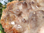 Natural Large Red Hematoid Quartz Cluster x 1 From Karoi, Zimbabwe - Toprock Gemstones and Minerals 