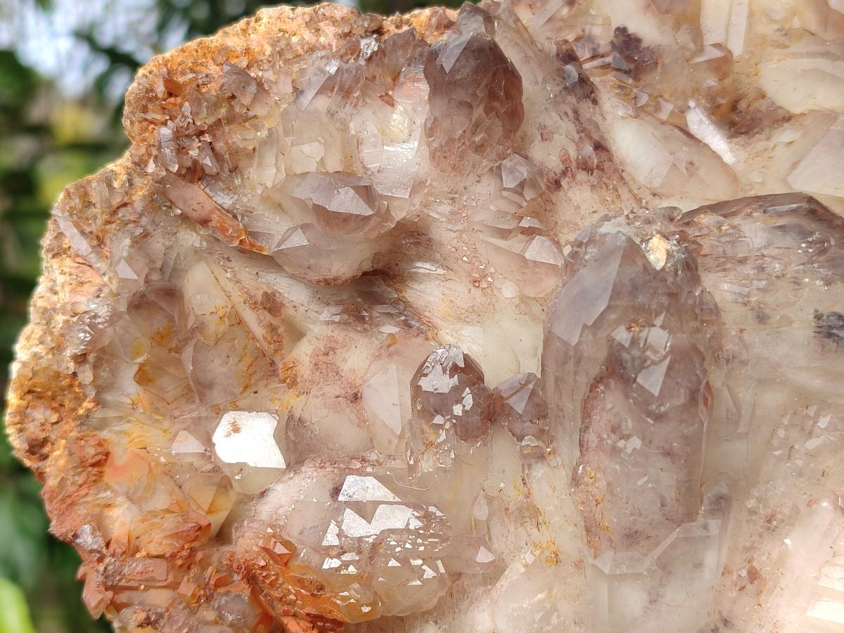 Natural Large Red Hematoid Quartz Cluster x 1 From Karoi, Zimbabwe - Toprock Gemstones and Minerals 