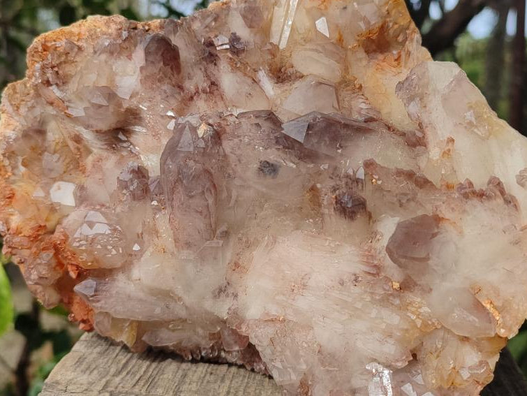 Natural Large Red Hematoid Quartz Cluster x 1 From Karoi, Zimbabwe - Toprock Gemstones and Minerals 