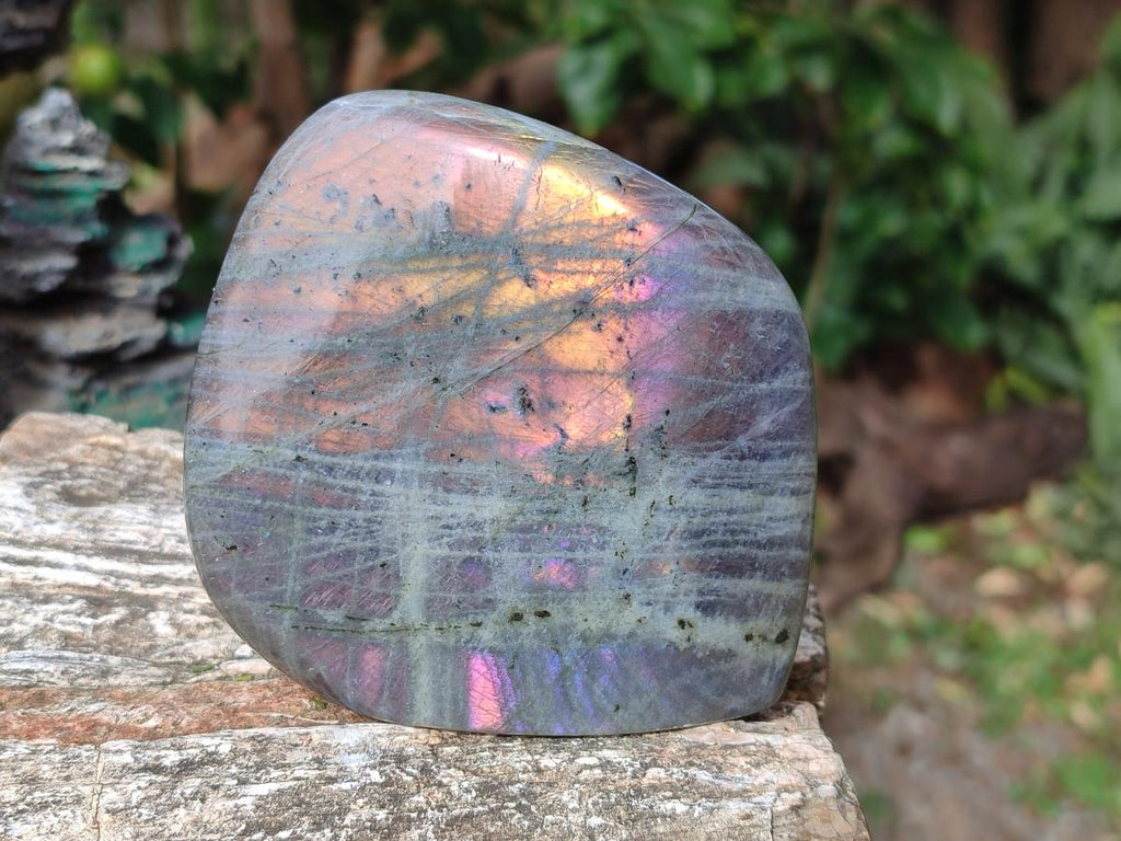Polished Rare Purple Sunset Flash Labradorite Standing Display Pieces x 3 From Madagascar - Toprock Gemstones and Minerals 