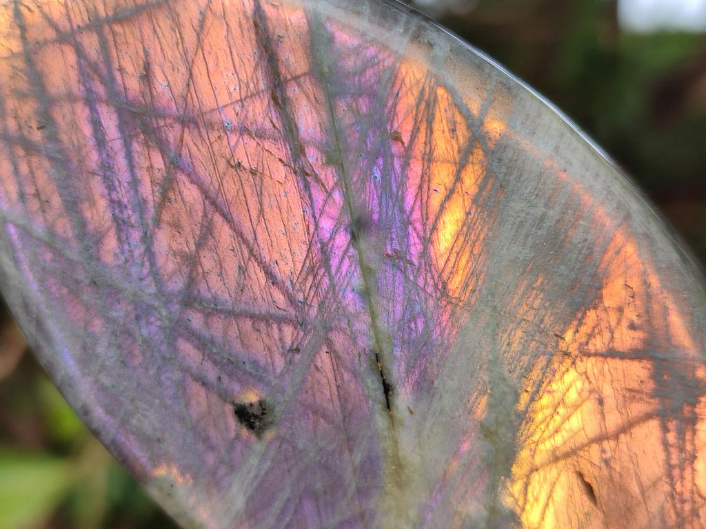 Polished Rare Purple Sunset Flash Labradorite Standing Display Pieces x 3 From Madagascar - Toprock Gemstones and Minerals 