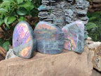 Polished Rare Purple Sunset Flash Labradorite Standing Display Pieces x 3 From Madagascar - Toprock Gemstones and Minerals 