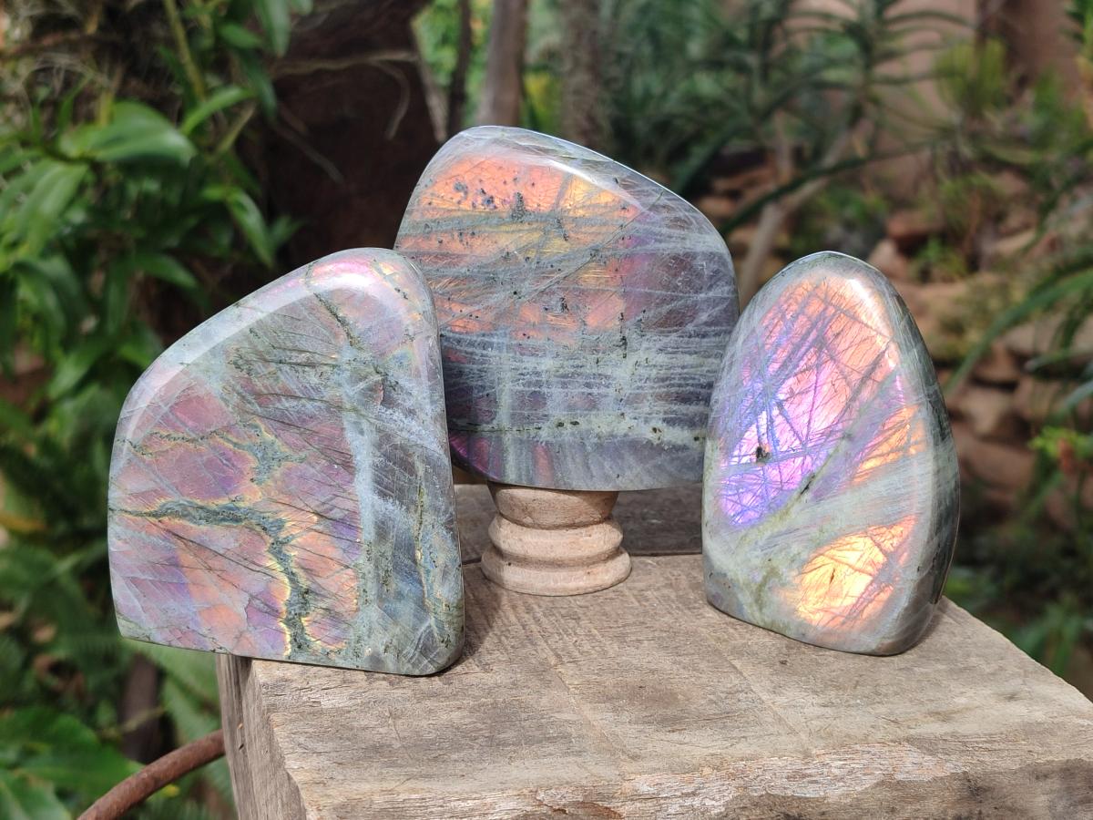 Polished Rare Purple Sunset Flash Labradorite Standing Display Pieces x 3 From Madagascar - Toprock Gemstones and Minerals 
