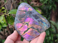 Polished Rare Purple Sunset Flash Labradorite Standing Display Pieces x 3 From Madagascar - Toprock Gemstones and Minerals 