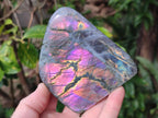 Polished Rare Purple Sunset Flash Labradorite Standing Display Pieces x 3 From Madagascar - Toprock Gemstones and Minerals 