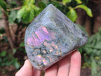 Polished Rare Purple Sunset Flash Labradorite Standing Display Pieces x 3 From Madagascar - Toprock Gemstones and Minerals 