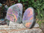 Polished Rare Purple Sunset Flash Labradorite Standing Display Pieces x 3 From Madagascar - Toprock Gemstones and Minerals 