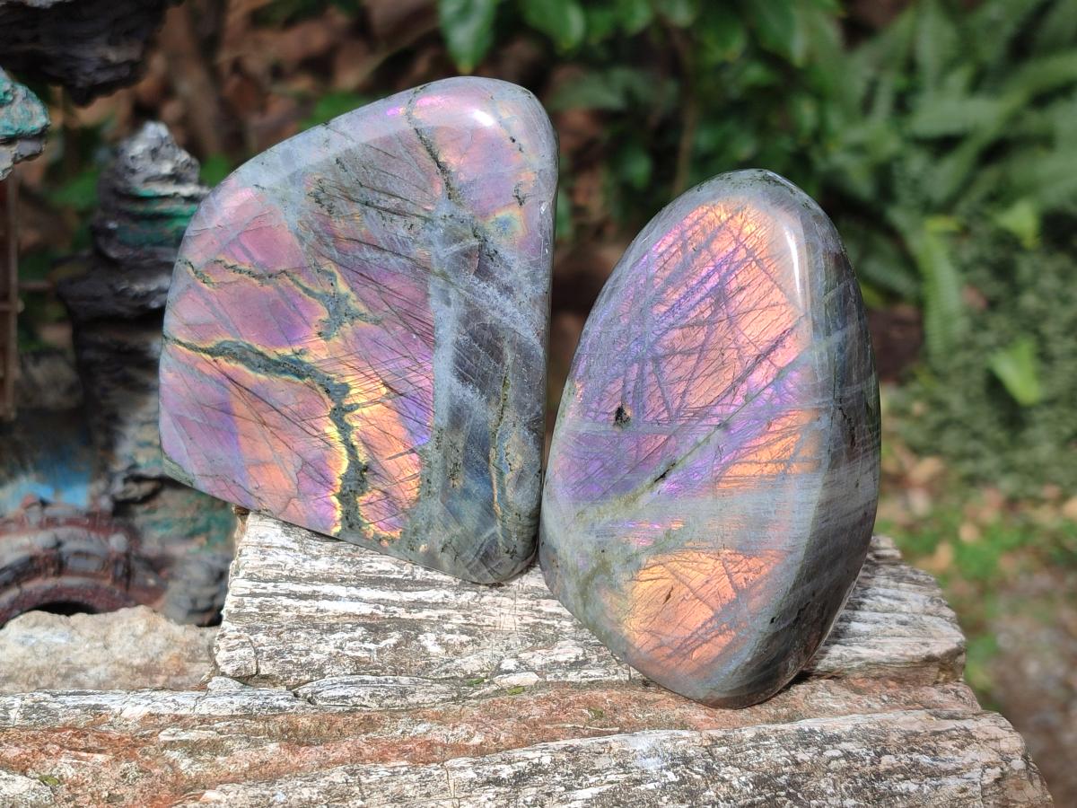 Polished Rare Purple Sunset Flash Labradorite Standing Display Pieces x 3 From Madagascar - Toprock Gemstones and Minerals 