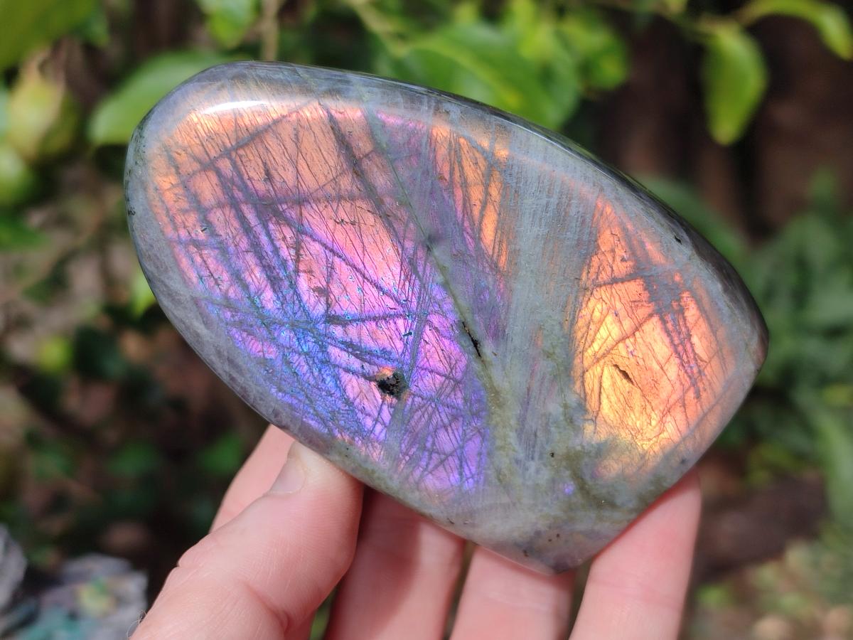 Polished Rare Purple Sunset Flash Labradorite Standing Display Pieces x 3 From Madagascar - Toprock Gemstones and Minerals 