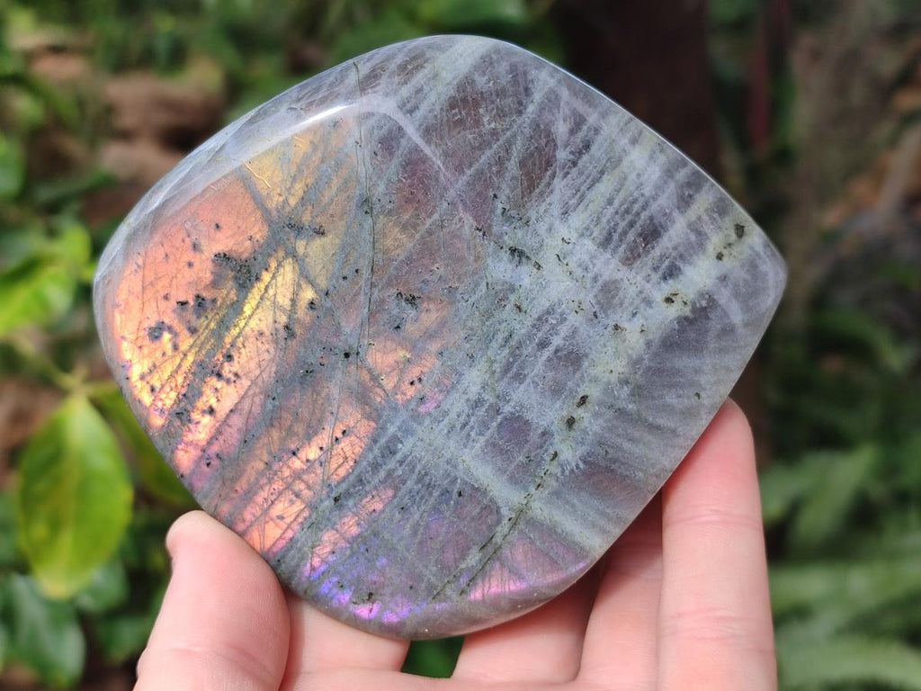 Polished Rare Purple Sunset Flash Labradorite Standing Display Pieces x 3 From Madagascar - Toprock Gemstones and Minerals 