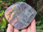 Polished Rare Purple Sunset Flash Labradorite Standing Display Pieces x 3 From Madagascar - Toprock Gemstones and Minerals 