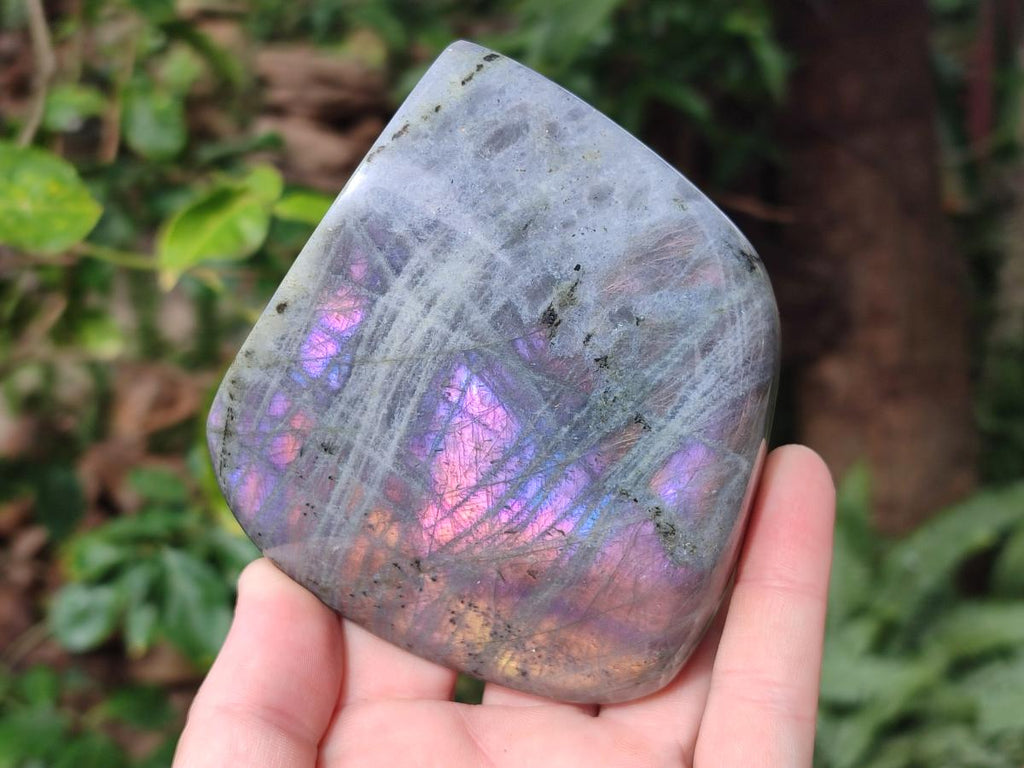 Polished Rare Purple Sunset Flash Labradorite Standing Display Pieces x 3 From Madagascar - Toprock Gemstones and Minerals 