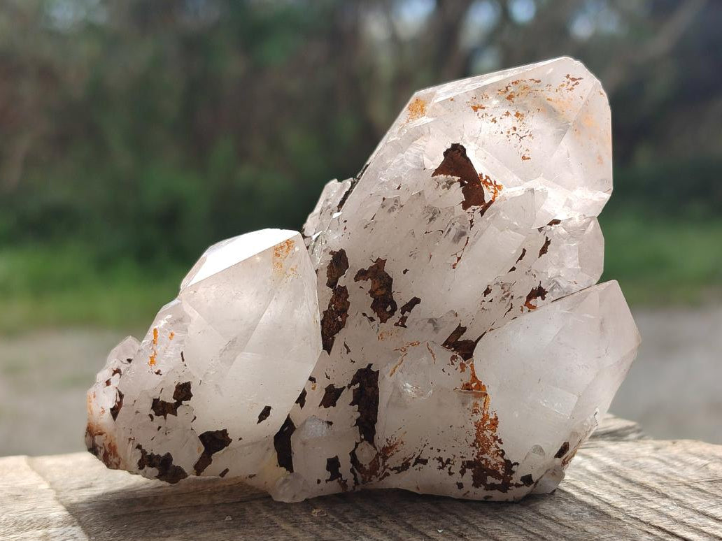 Natural Multi Mineral Specimens x 6 From Southern Africa - Toprock Gemstones and Minerals 