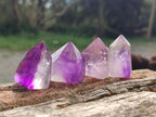 Polished Window Amethyst Crystals x 12 From Akansobe, Madagascar - Toprock Gemstones and Minerals 
