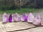 Polished Window Amethyst Crystals x 12 From Akansobe, Madagascar - Toprock Gemstones and Minerals 